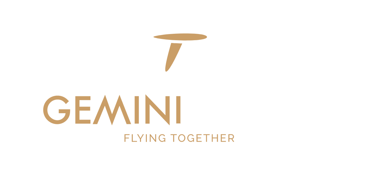 GeminiWings_lg_RGB_dark_background_transparent-ai